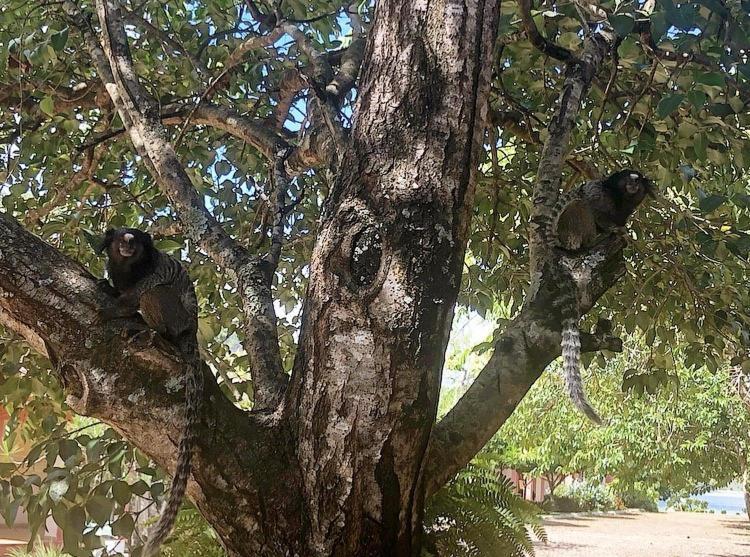 Pousada Pontal Do Lago Carmo do Rio Claro Εξωτερικό φωτογραφία